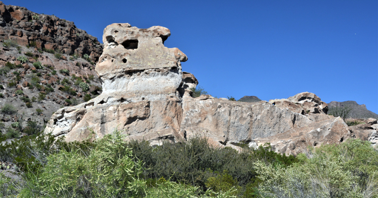 terrain